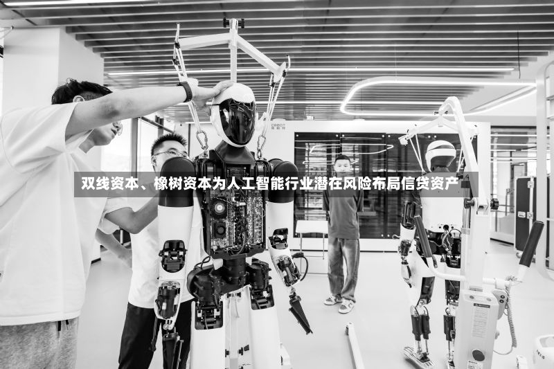 双线资本、橡树资本为人工智能行业潜在风险布局信贷资产-第3张图片