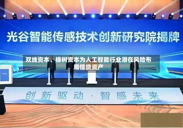 双线资本、橡树资本为人工智能行业潜在风险布局信贷资产-第2张图片