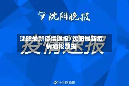 沈阳最新疫情通报/沈阳最新疫情通报数据-第3张图片