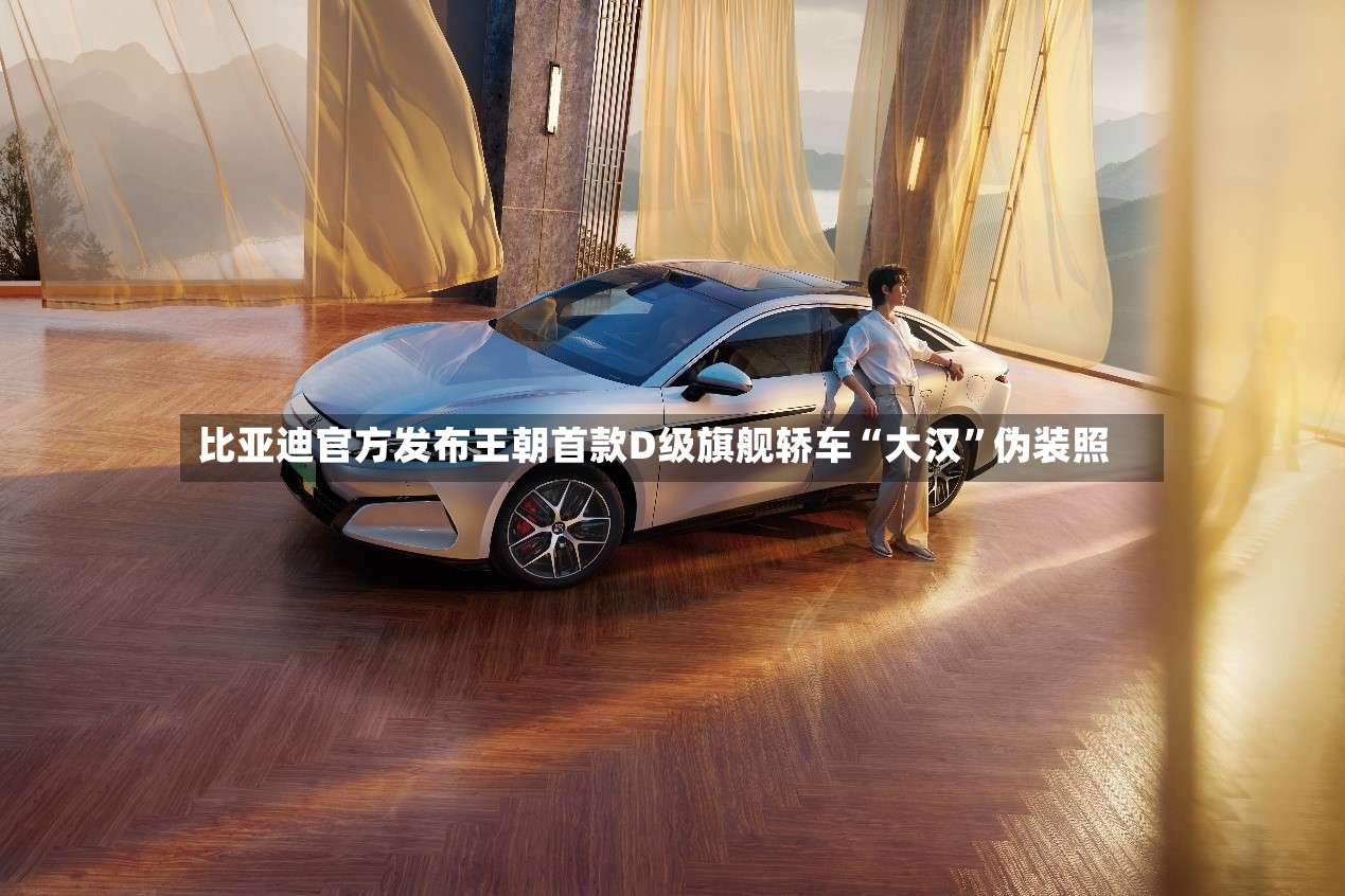 比亚迪官方发布王朝首款D级旗舰轿车“大汉”伪装照-第3张图片