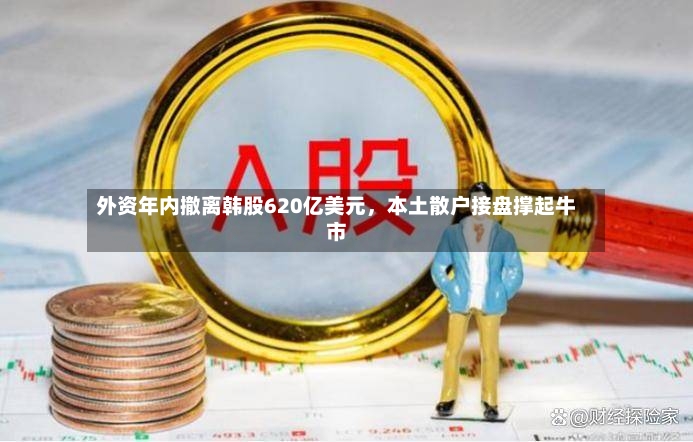 外资年内撤离韩股620亿美元，本土散户接盘撑起牛市-第2张图片