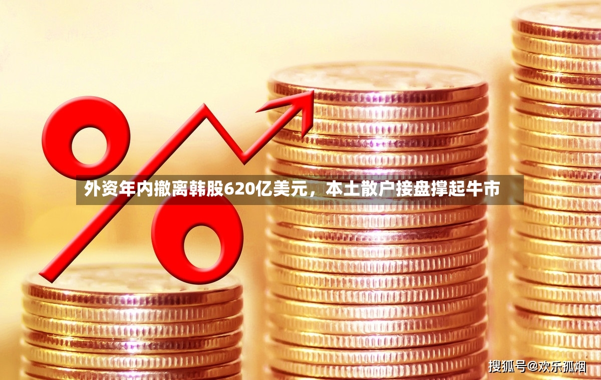 外资年内撤离韩股620亿美元	，本土散户接盘撑起牛市-第3张图片