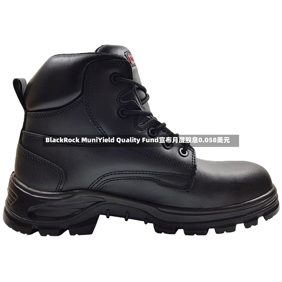 BlackRock MuniYield Quality Fund宣布月度股息0.058美元