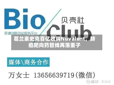 葛兰素史克百亿收购Nuvalent，肺癌靶向药管线再落重子-第3张图片