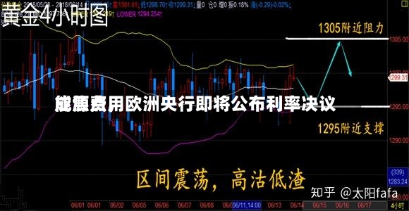 能源费用成焦点，欧洲央行即将公布利率决议-第2张图片