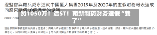 罚1050万！遭ST！南新制药财务造假“栽了”-第2张图片