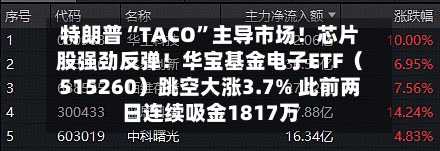 特朗普“TACO”主导市场！芯片股强劲反弹！华宝基金电子ETF（515260）跳空大涨3.7% 此前两日连续吸金1817万-第3张图片