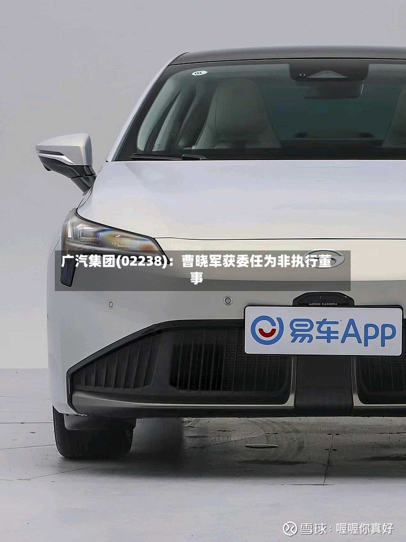 广汽集团(02238)：曹晓军获委任为非执行董事-第2张图片