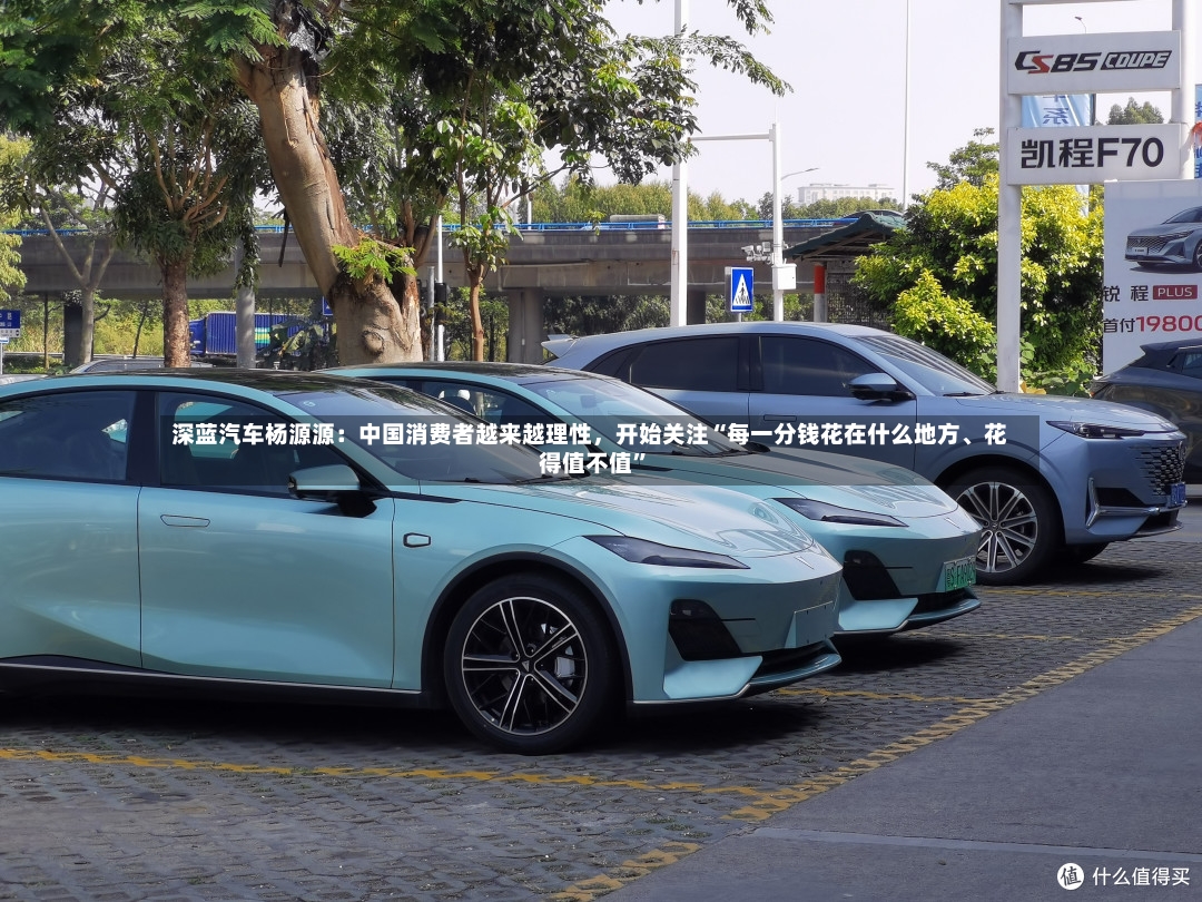 深蓝汽车杨源源：中国消费者越来越理性，开始关注“每一分钱花在什么地方、花得值不值”-第2张图片