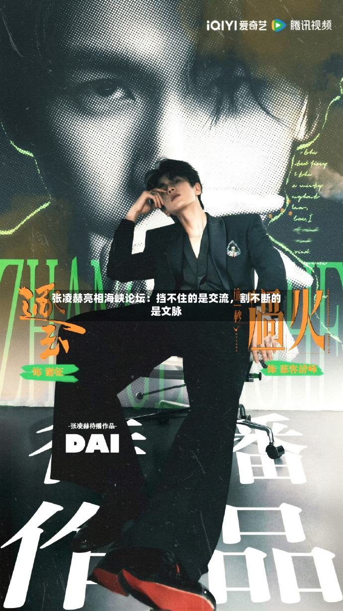 张凌赫亮相海峡论坛：挡不住的是交流，割不断的是文脉-第3张图片