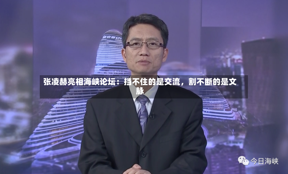 张凌赫亮相海峡论坛：挡不住的是交流	，割不断的是文脉-第2张图片