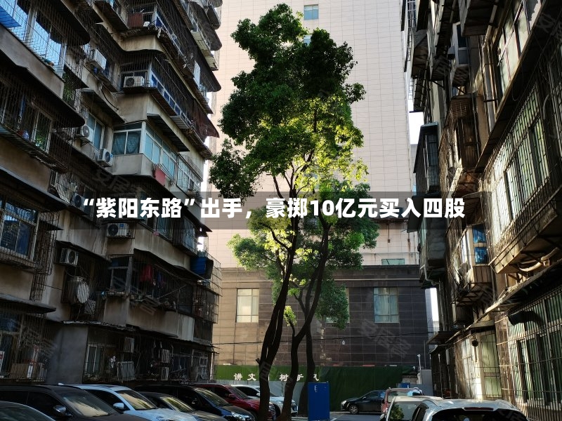 “紫阳东路	”出手，豪掷10亿元买入四股-第3张图片