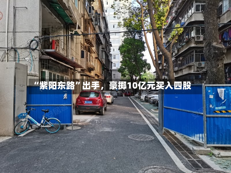 “紫阳东路”出手，豪掷10亿元买入四股-第2张图片