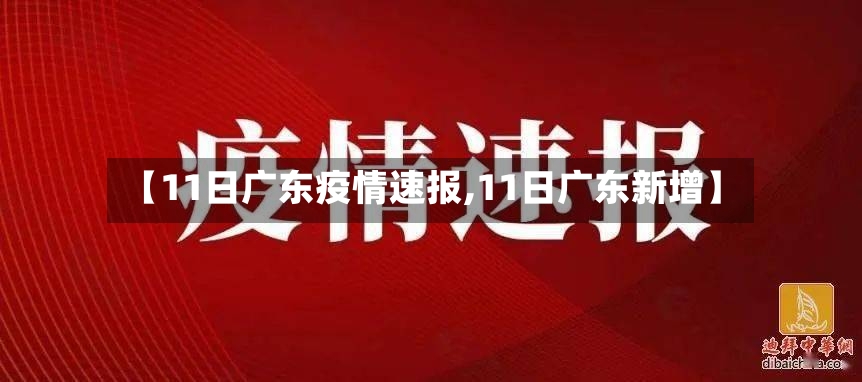 【11日广东疫情速报,11日广东新增】