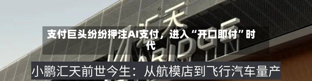 支付巨头纷纷押注AI支付，进入“开口即付	”时代-第2张图片