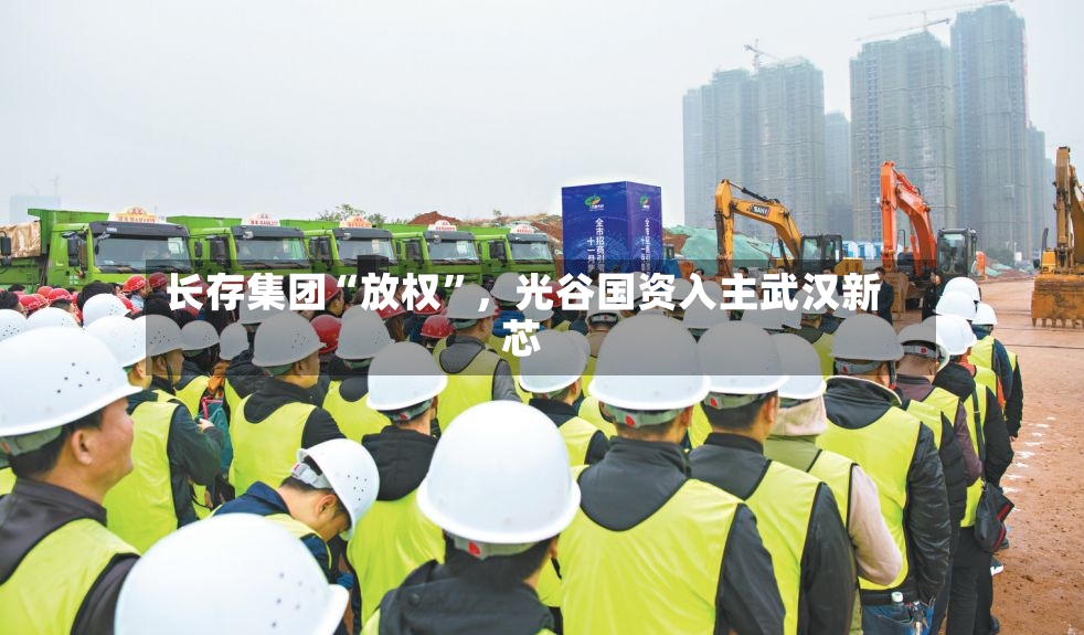长存集团“放权”，光谷国资入主武汉新芯-第2张图片