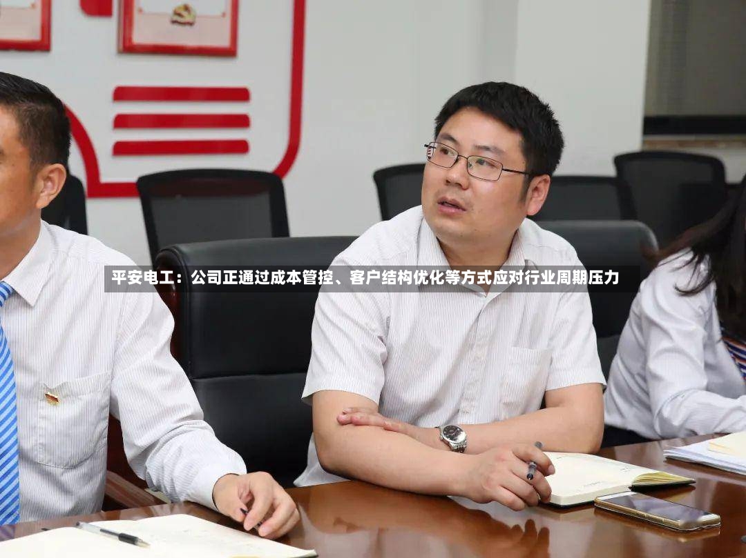 平安电工：公司正通过成本管控、客户结构优化等方式应对行业周期压力-第3张图片