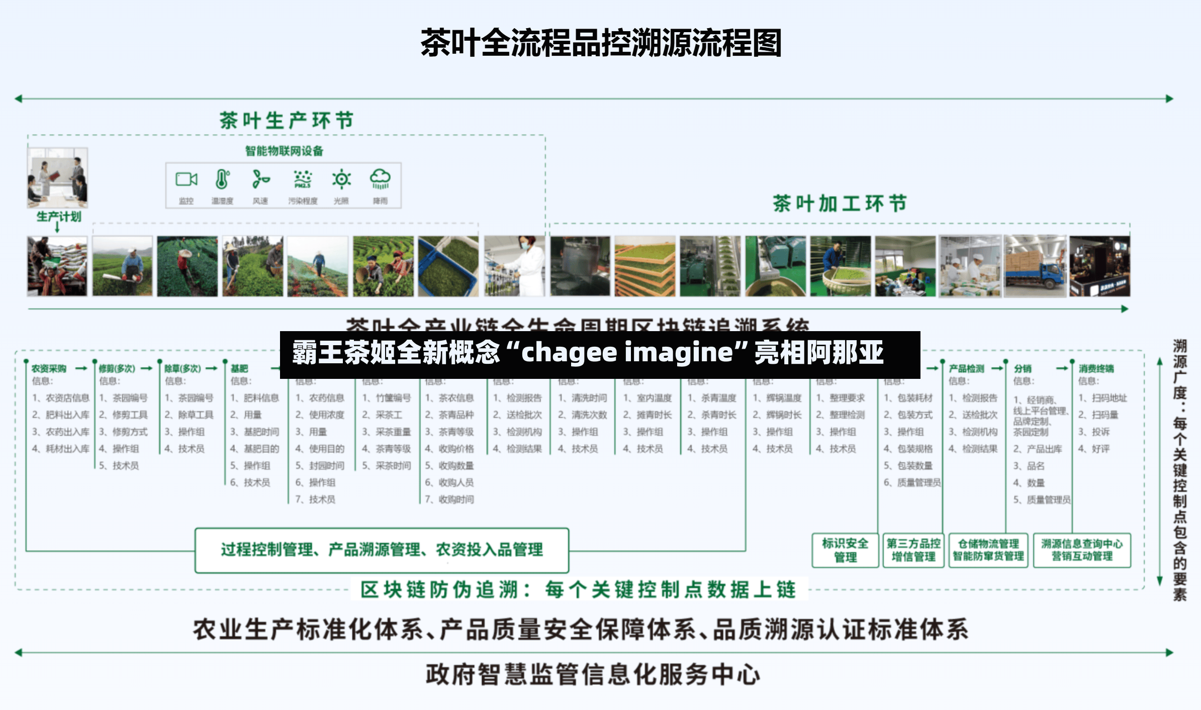 霸王茶姬全新概念“chagee imagine	”亮相阿那亚-第3张图片