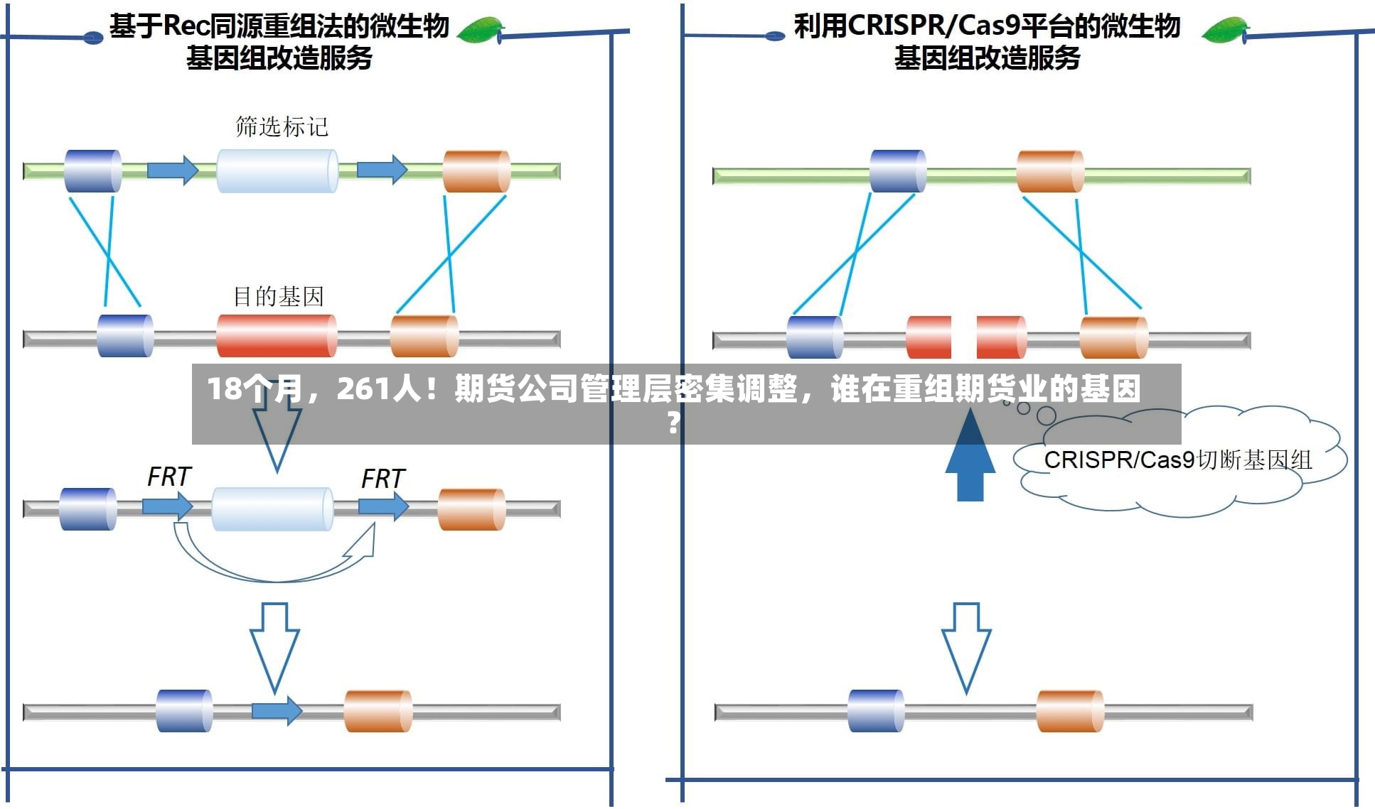 18个月，261人！期货公司管理层密集调整	，谁在重组期货业的基因？-第3张图片