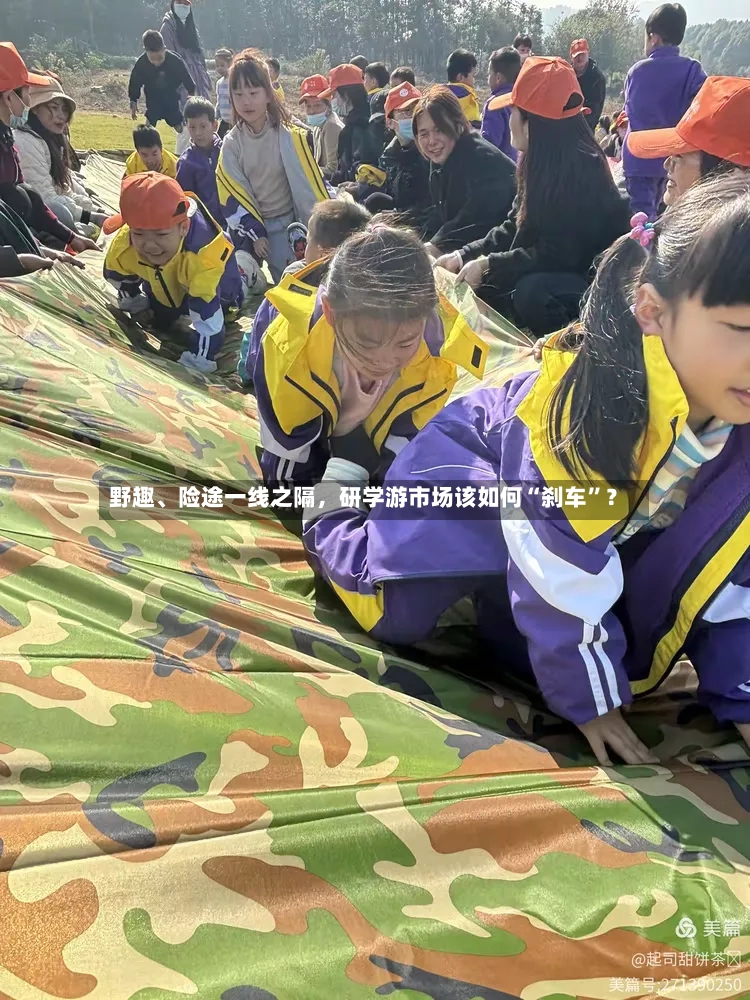 野趣	、险途一线之隔，研学游市场该如何“刹车	”？-第3张图片