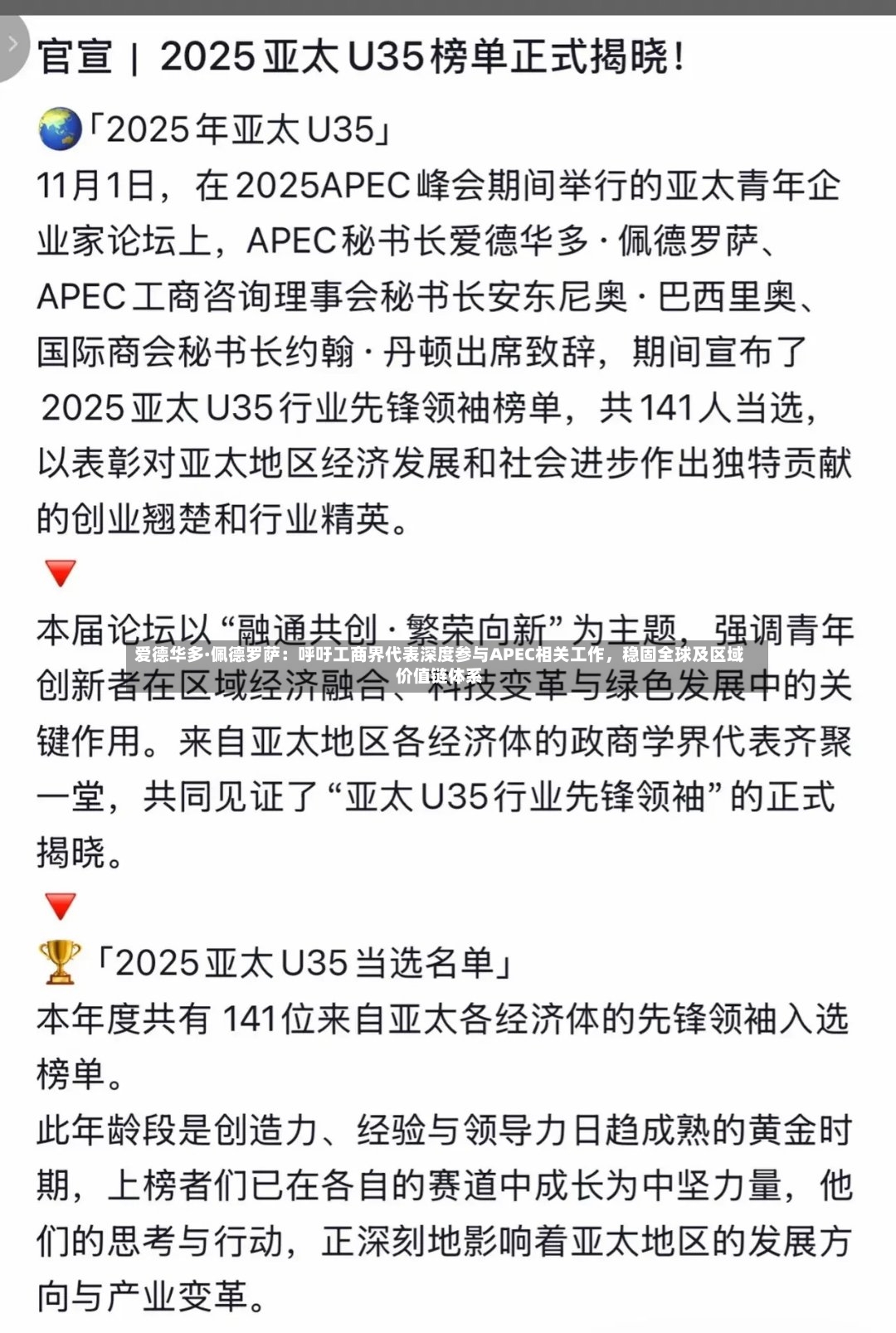 爱德华多·佩德罗萨：呼吁工商界代表深度参与APEC相关工作	，稳固全球及区域价值链体系-第3张图片