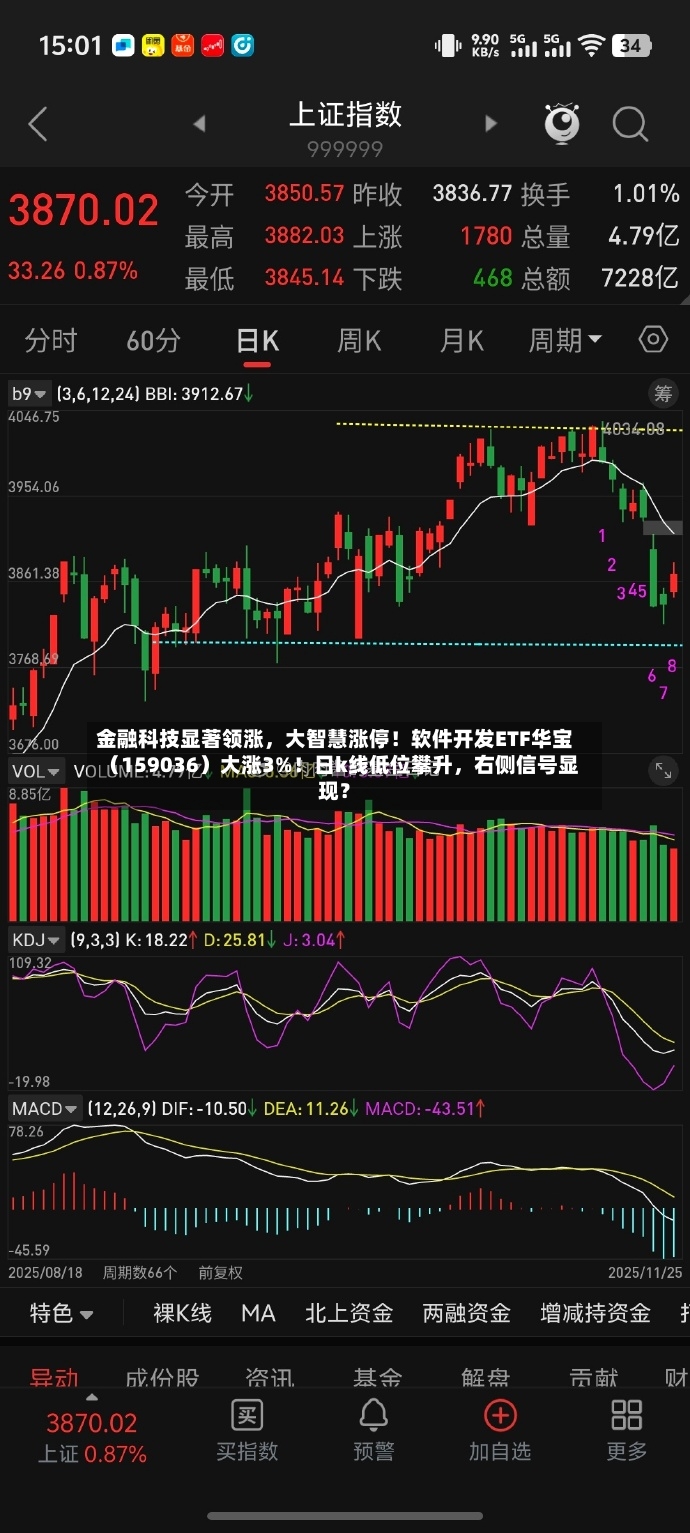 金融科技显著领涨，大智慧涨停！软件开发ETF华宝（159036）大涨3%！日k线低位攀升，右侧信号显现？-第2张图片