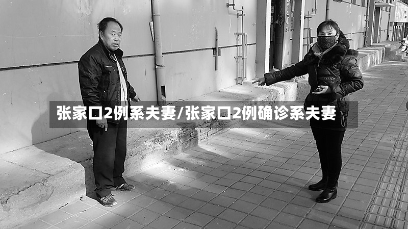 张家口2例系夫妻/张家口2例确诊系夫妻