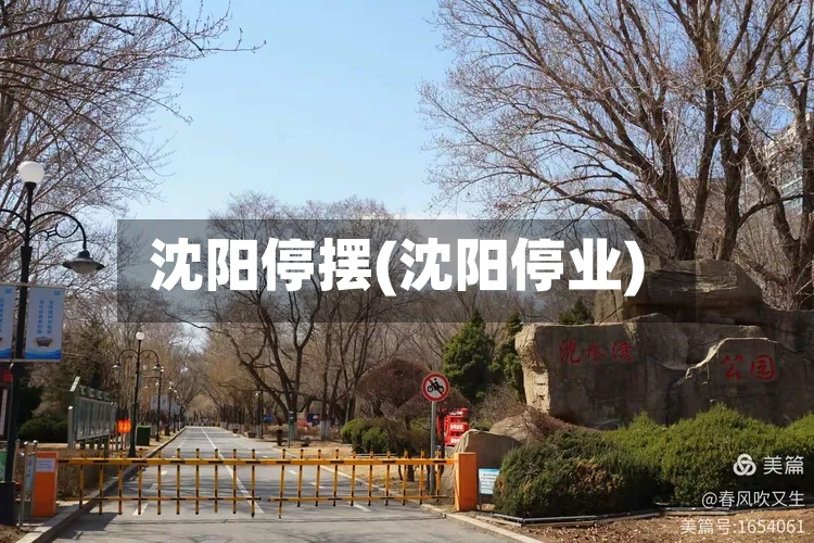 沈阳停摆(沈阳停业)-第2张图片