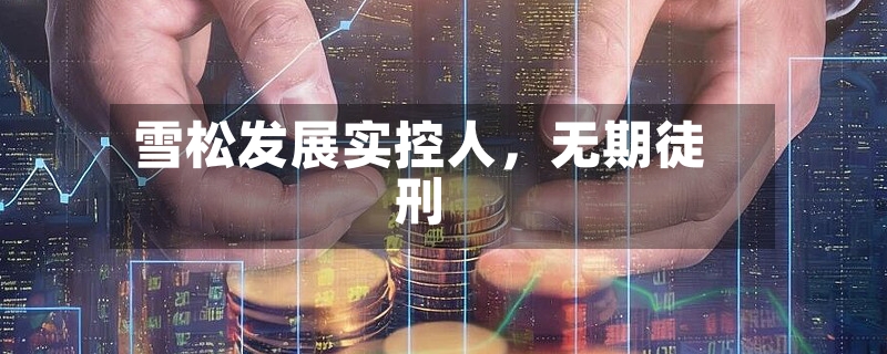 雪松发展实控人，无期徒刑-第2张图片