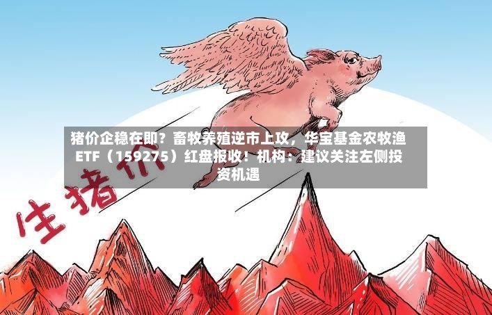 猪价企稳在即？畜牧养殖逆市上攻，华宝基金农牧渔ETF（159275）红盘报收！机构：建议关注左侧投资机遇-第2张图片