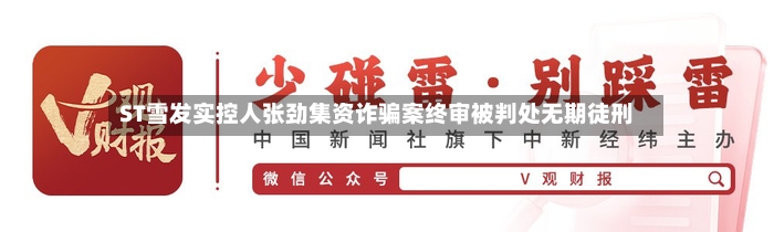 ST雪发实控人张劲集资诈骗案终审被判处无期徒刑-第2张图片