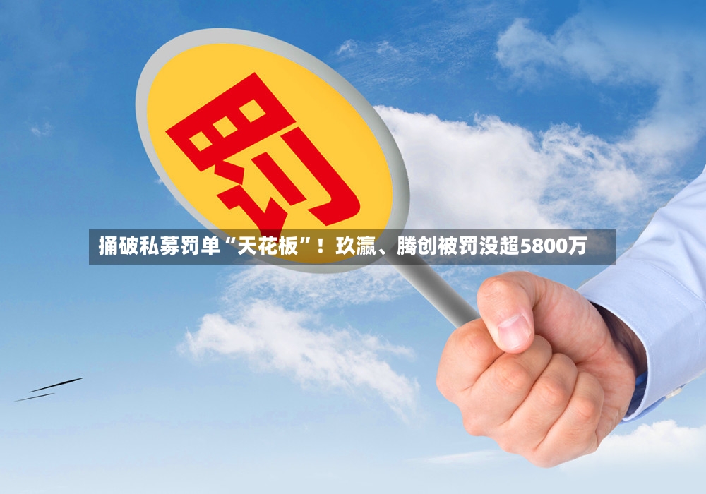 捅破私募罚单“天花板	”！玖瀛、腾创被罚没超5800万-第2张图片