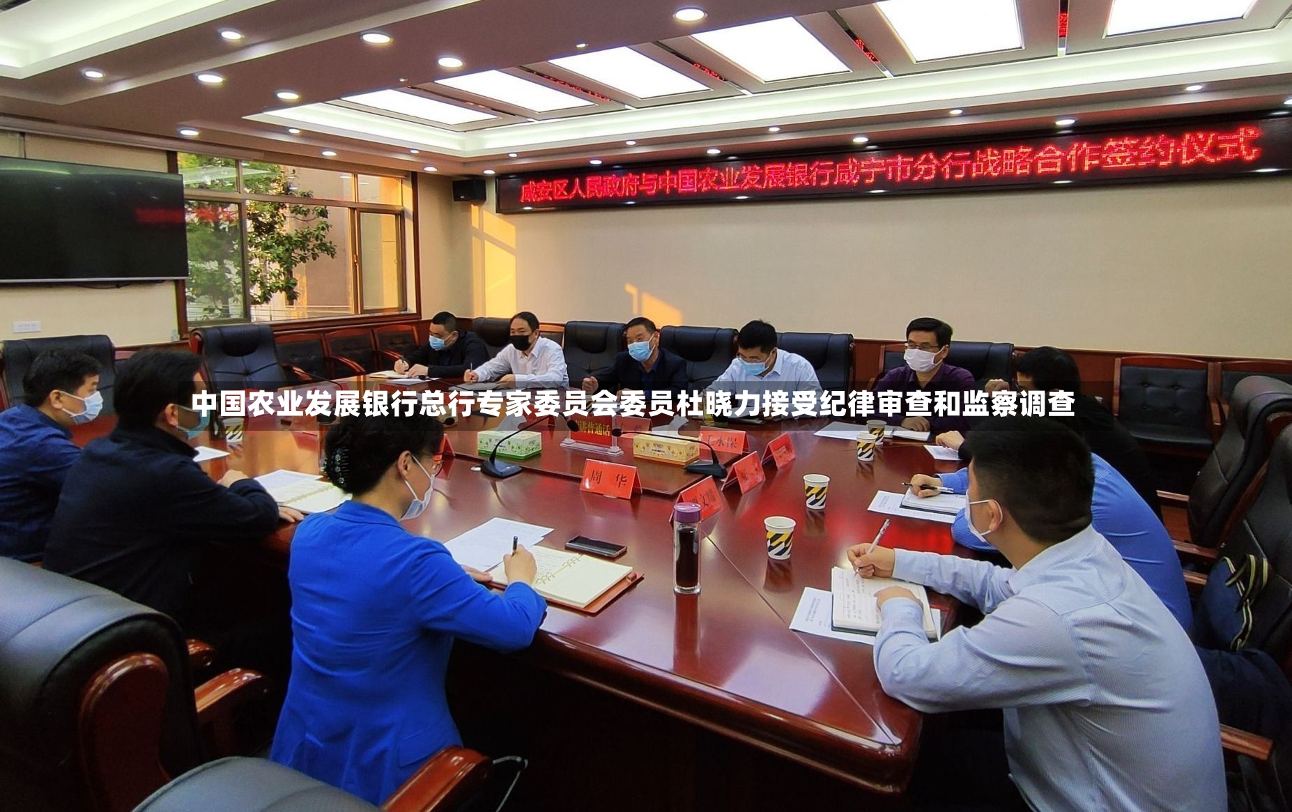 中国农业发展银行总行专家委员会委员杜晓力接受纪律审查和监察调查-第2张图片