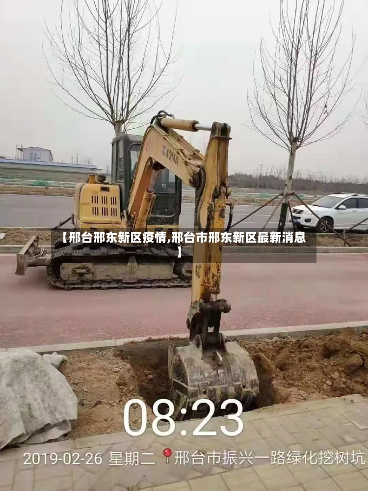 【邢台邢东新区疫情,邢台市邢东新区最新消息】