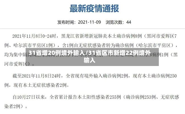 31省增20例境外输入/31省区市新增22例境外输入