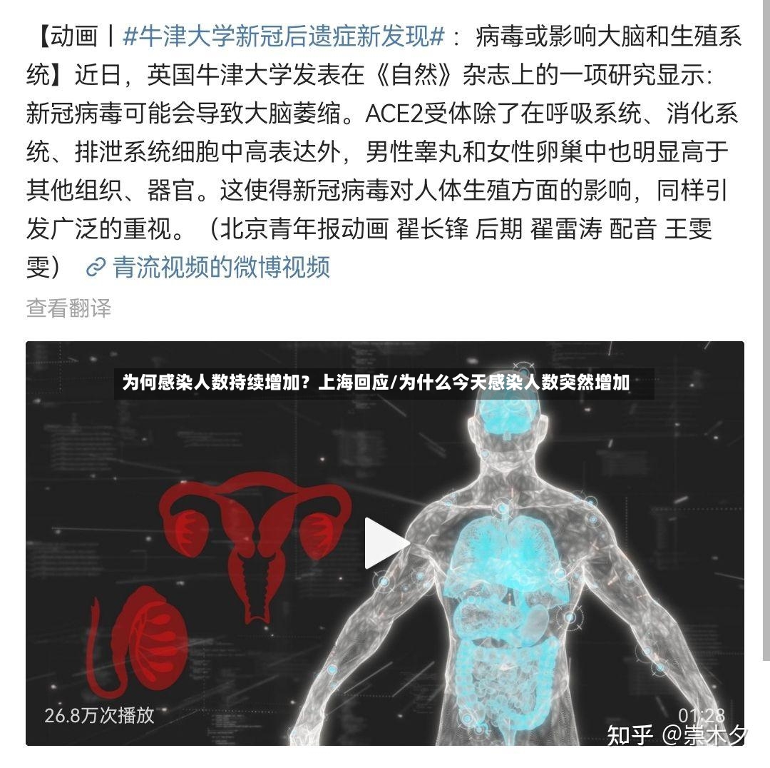 为何感染人数持续增加？上海回应/为什么今天感染人数突然增加
