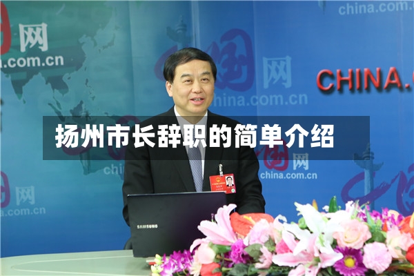 扬州市长辞职的简单介绍