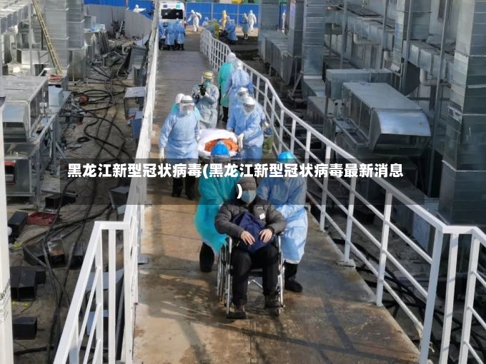 黑龙江新型冠状病毒(黑龙江新型冠状病毒最新消息)