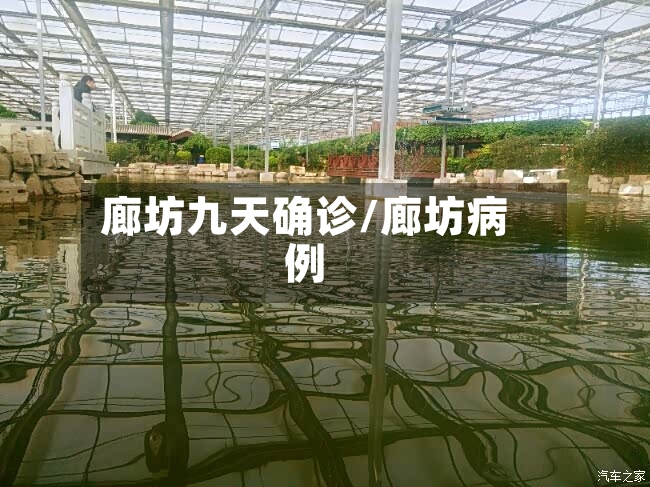 廊坊九天确诊/廊坊病例