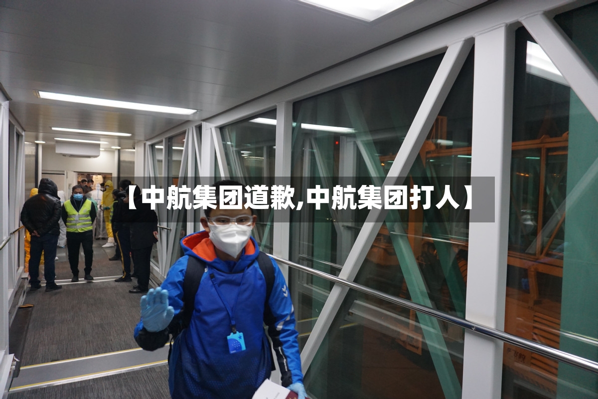 【中航集团道歉,中航集团打人】-第2张图片