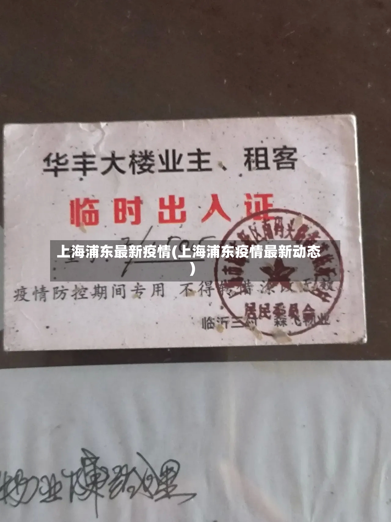 上海浦东最新疫情(上海浦东疫情最新动态)-第2张图片