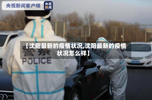 【沈阳最新的疫情状况,沈阳最新的疫情状况怎么样】-第2张图片