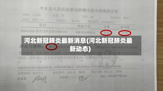 河北新冠肺炎最新消息(河北新冠肺炎最新动态)-第2张图片