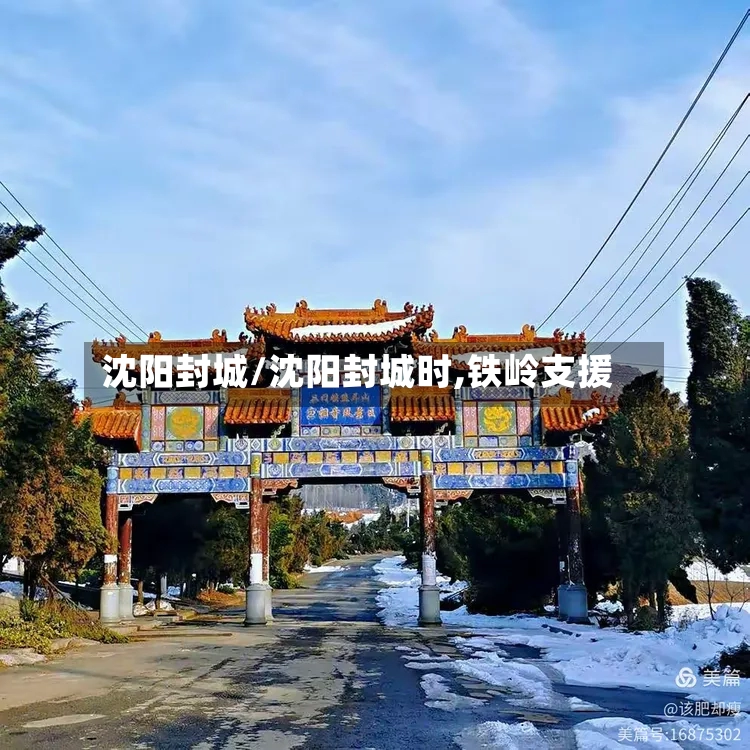 沈阳封城/沈阳封城时,铁岭支援-第2张图片