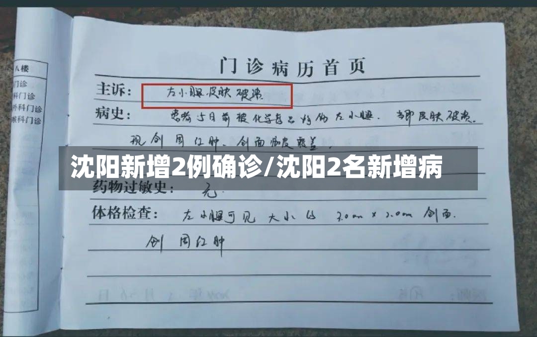 沈阳新增2例确诊/沈阳2名新增病-第3张图片