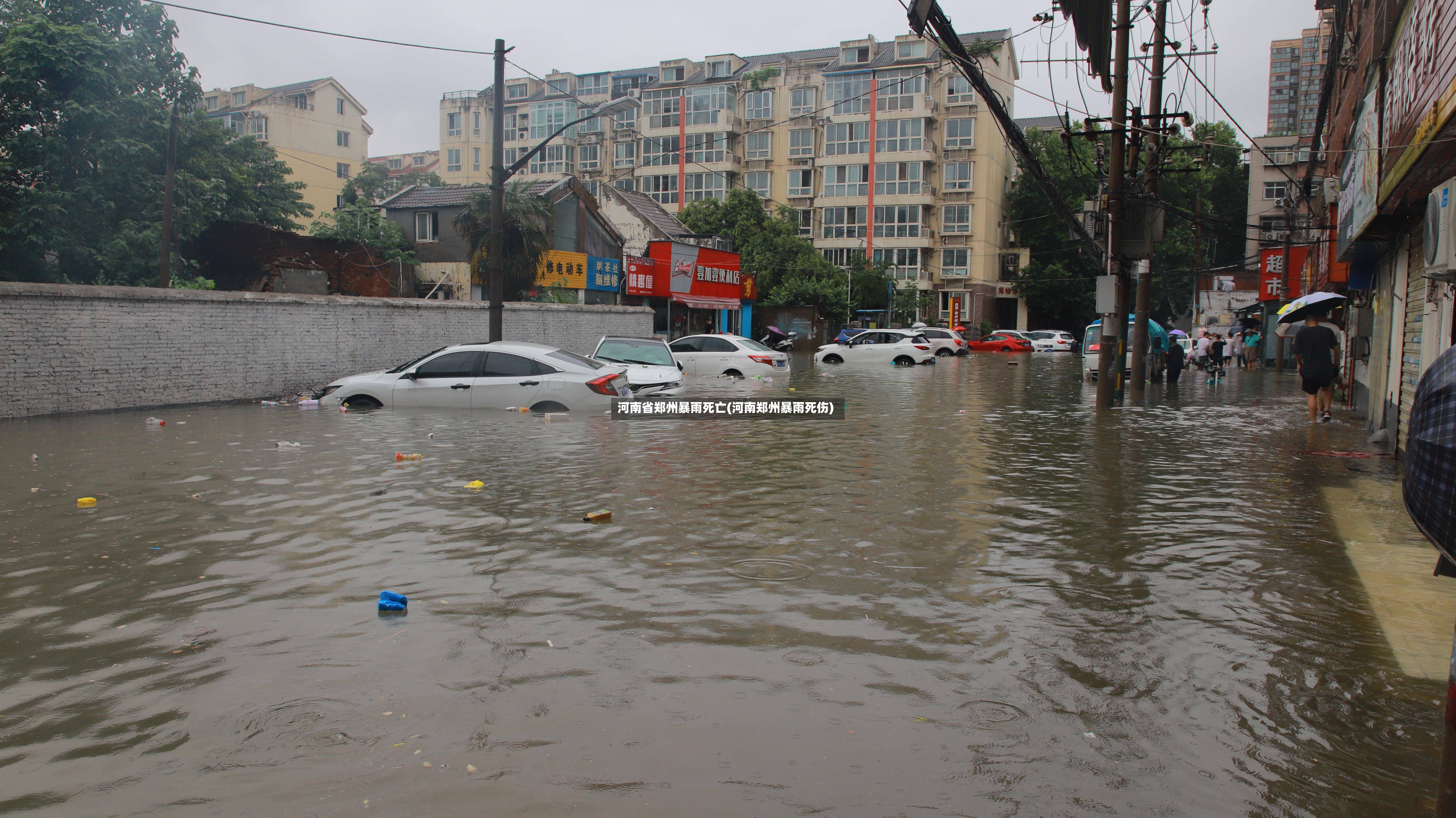 河南省郑州暴雨死亡(河南郑州暴雨死伤)