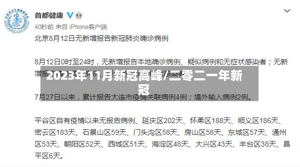 2023年11月新冠高峰/二零二一年新冠-第2张图片