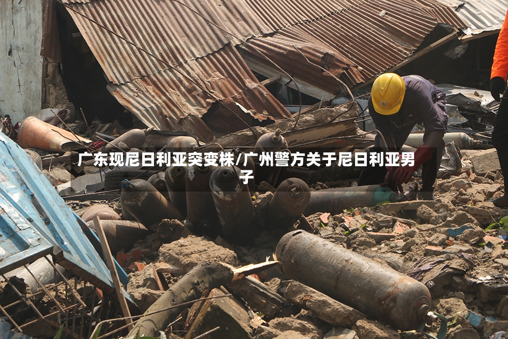 广东现尼日利亚突变株/广州警方关于尼日利亚男子-第2张图片