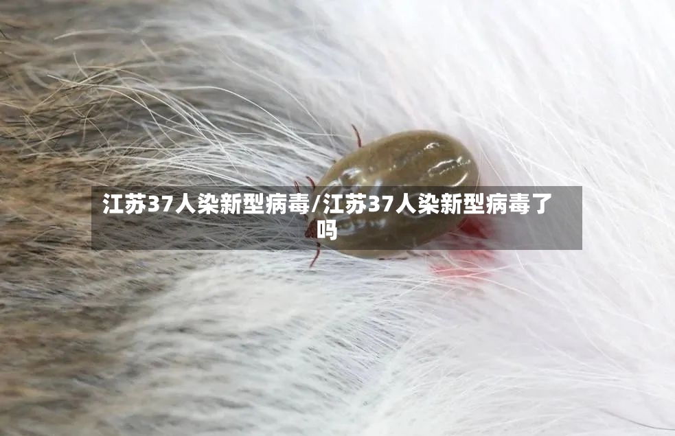 江苏37人染新型病毒/江苏37人染新型病毒了吗-第2张图片