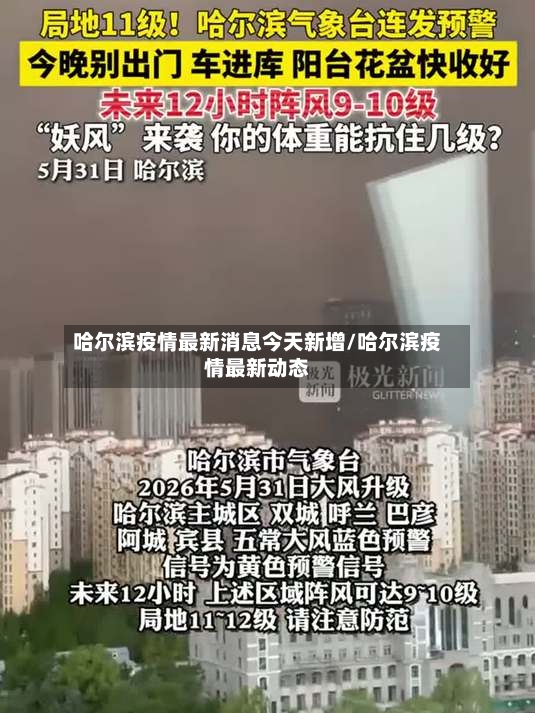 哈尔滨疫情最新消息今天新增/哈尔滨疫情最新动态-第2张图片